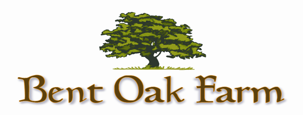 Bent Oak Wholesale Nursery - Welcome to Bent Oak Wholesale Nursery Located in Belleview Florida.